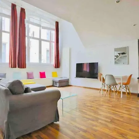 Ideal Pros Et Tourisme - Le Loft De Guise Avec Parking Prive Apartment Nancy